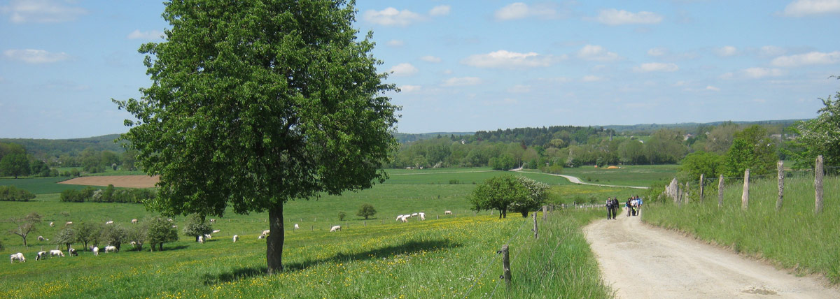 Han-sur-Lesse, Rochefort, Ardenne, Belgique