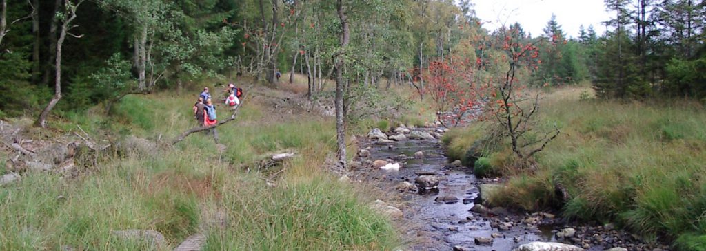 L'Autre Chemin