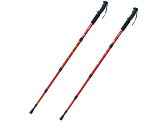 Bâtons De Randonnée Légers Réglables En Fibre De Carbone - Hauteur 25-65cm, Pointes Tungstène | Idéal Randonnée Montagne & Marche
